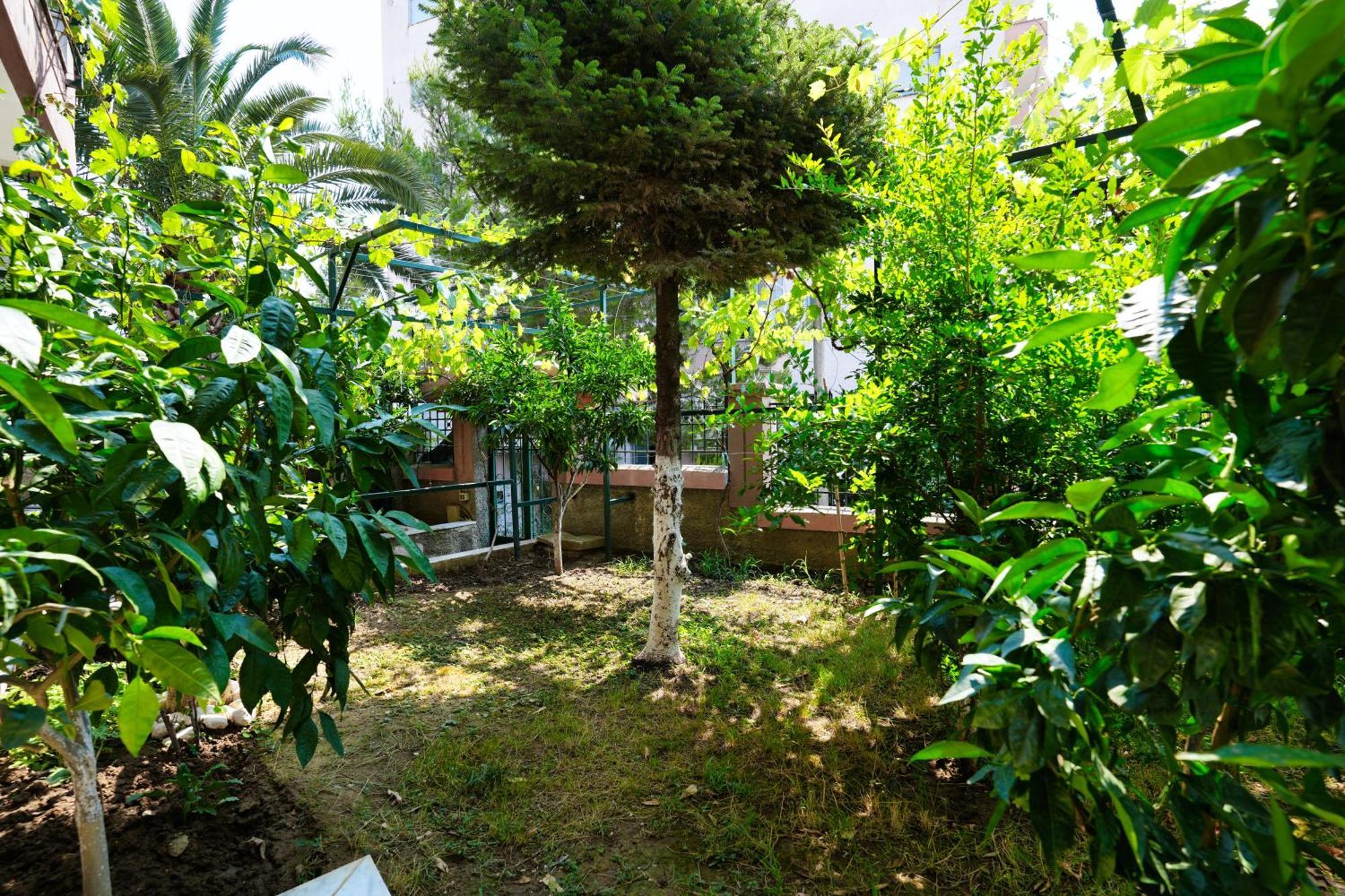 The View Rooms And Terrace Gjirokaster Exterior photo
